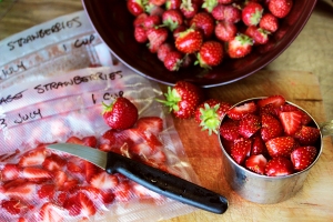 acreage strawberries