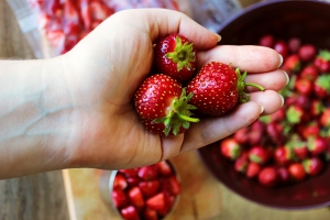 acreage strawberries